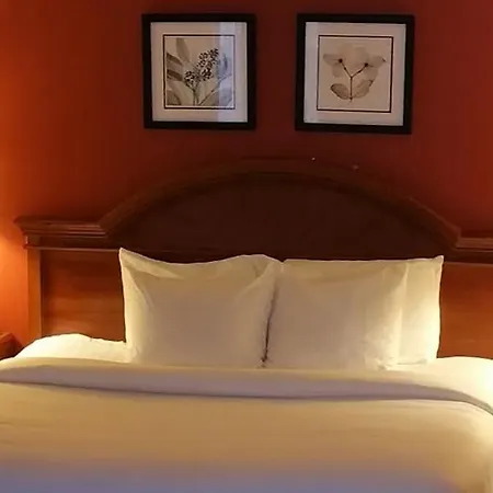 Extended Studio Suites Hotel- Bossier City Room photo